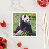 石の上に座っているジャイアントパンダ スタンダードカクテルナプキン (インサイチュ)