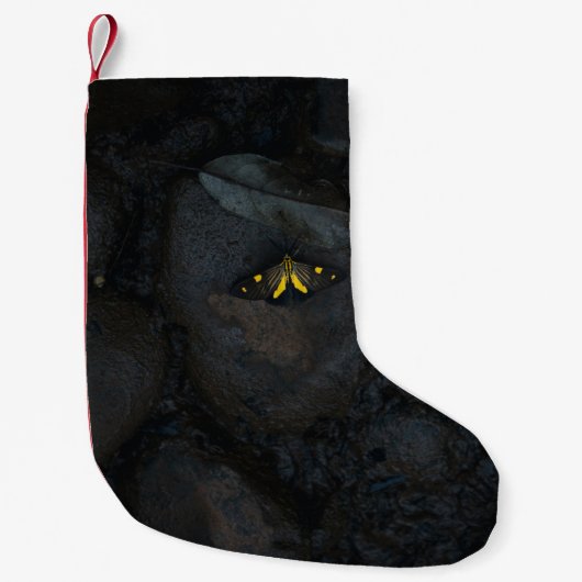 石の上の黄色い蝶 スモールクリスマスストッキング (正面)