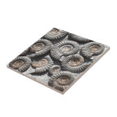 石の写真のアンモナイト タイル (側面)