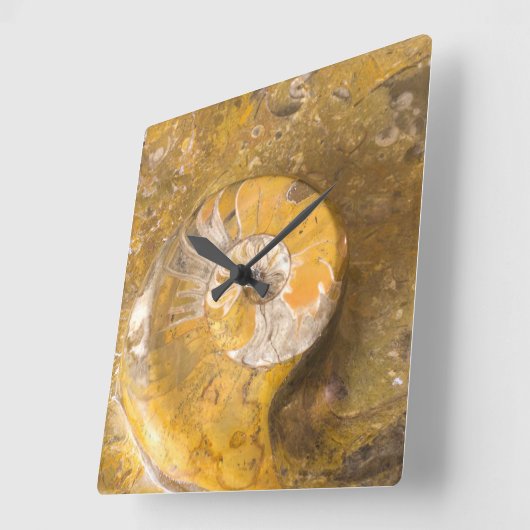石の化石から成っている切り分けられたボールの写真 スクエア壁時計 (傾斜)