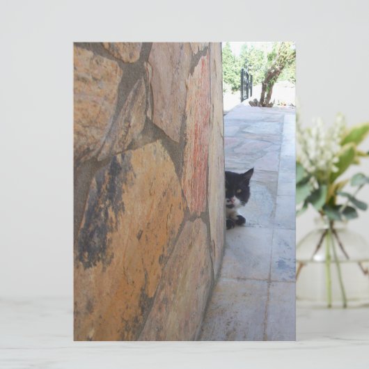 石の壁の後ろの刑事ネコ( (スタンド正面)