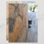 石の壁の後ろの刑事ネコ( (正面/裏面)