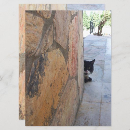 石の壁の後ろの刑事ネコ( (正面/裏面)