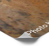 石の壁の後ろの探偵猫 / 父の日 ポスター (角)