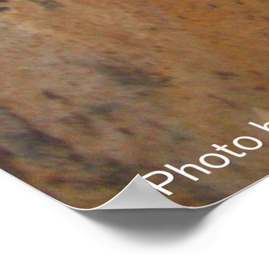 石の壁の後ろの探偵猫 / 父の日 ポスター (角)