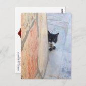 石の壁の後ろの探偵猫 / 父の日 ポストカード (正面/裏面)