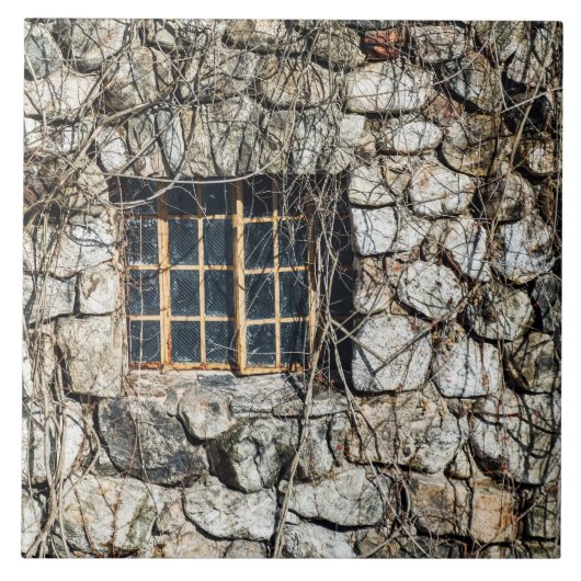 石の壁の窓 タイル (正面)