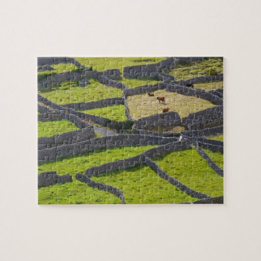 石の壁ゴールウェイアイルランド。 ジグソーパズル (横)