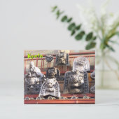 石の姿 ポストカード (スタンド正面)