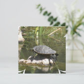 石の招待状のカメ 招待状 (スタンド正面)