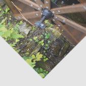 石の水道の車輪 薄葉紙 (詳細)