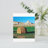 石の煙突ネブラスカ ポストカード (スタンド正面)