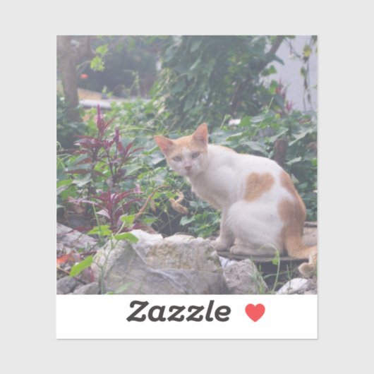 石の瓦礫の上に座る猫 シール (シート)