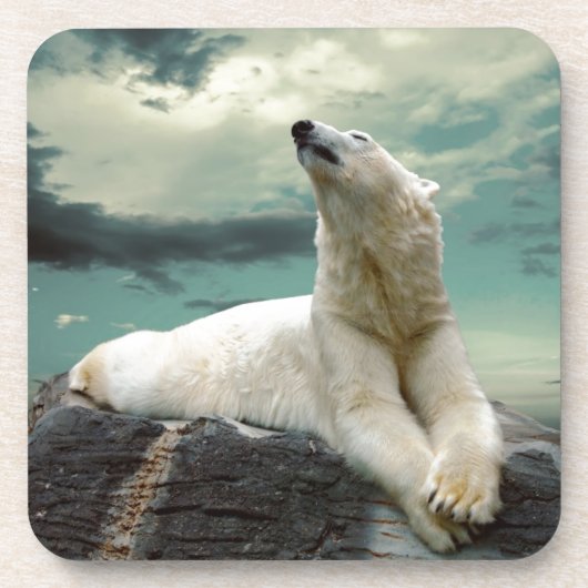 石の白い白くまのハンター コースター (正面)