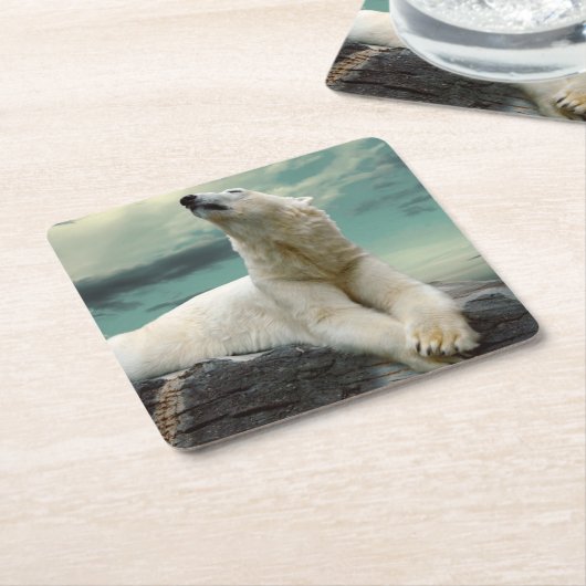 石の白い白くまのハンター スクエアペーパーコースター (アングル)