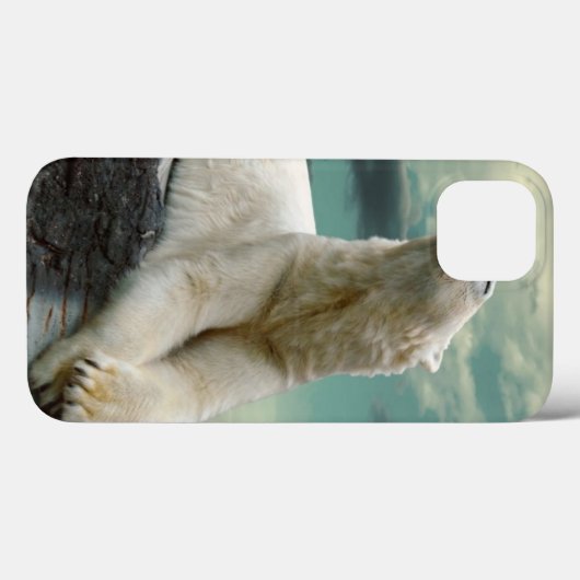 石の白い白くまのハンター Case-Mate iPhoneケース (裏面 (横))