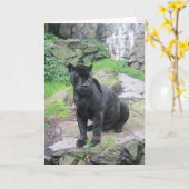 石の着席の大きく黒いジャガー猫 カード (黄色い花)