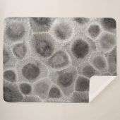 石の石模様 シェルパブランケット (正面(横))