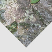 石の秋の葉 薄葉紙 (詳細)