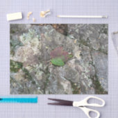 石の秋の葉 薄葉紙 (クラフト)