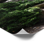 石の経路の自然ポスター ポスター (角)