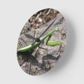 石の緑の犠牲にするカマキリ ラウンド壁時計 (傾斜)