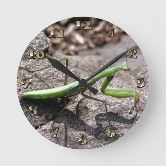 石の緑の犠牲にするカマキリ ラウンド壁時計 (正面)