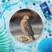 石の赤い背負われたタカ ペーパープレート (パーティー)