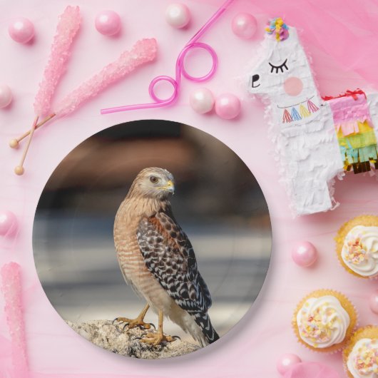 石の赤い背負われたタカ ペーパープレート (パーティー)