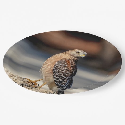 石の赤い背負われたタカ ペーパープレート (アングル)