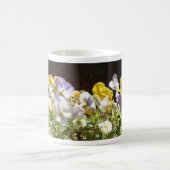 石の鉢に植えられたヴィオラ コーヒーマグカップ (中央)