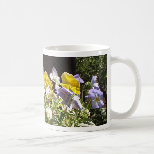 石の鉢に植えられたヴィオラ コーヒーマグカップ (右)