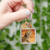 石の髭があるドラゴン(Pogona Vitticeps)、 キーホルダー (手)