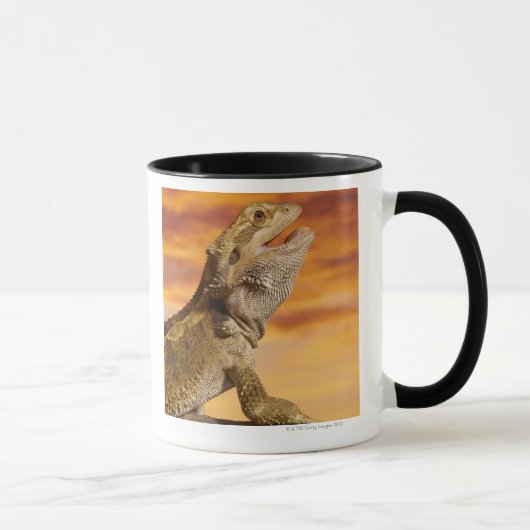 石の髭があるドラゴン(Pogona Vitticeps)、 マグカップ (右)