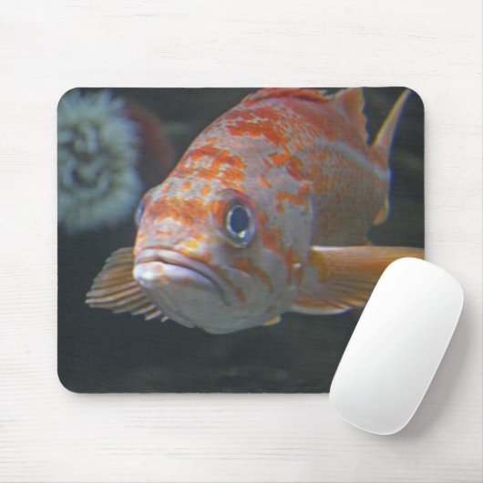 石の魚 マウスパッド (マウス)