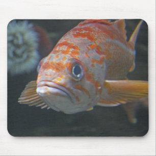 石の魚 マウスパッド