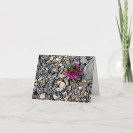 石の~のデスヴァレーのメッセージカードからの花 カード