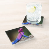 石のMwanzaの頭部の平らなAgama ガラスコースター (アングル)