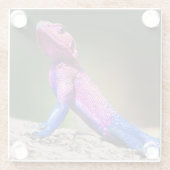 石のMwanzaの頭部の平らなAgama ガラスコースター (裏面)