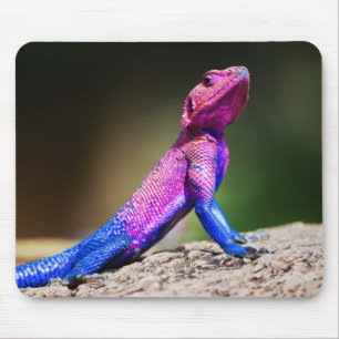 石のMwanzaの頭部の平らなAgama マウスパッド