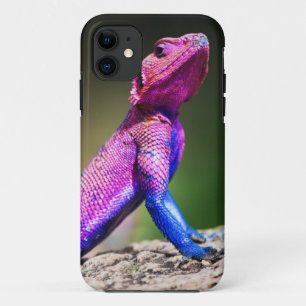 石のMwanzaの頭部の平らなAgama iPhone 11 ケース
