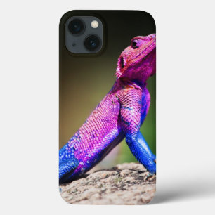 石のMwanzaの頭部の平らなAgama iPhone 13ケース