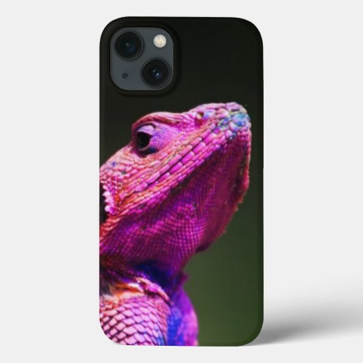 石のMwanzaの頭部の平らなAgama Case-Mate iPhoneケース (裏面)