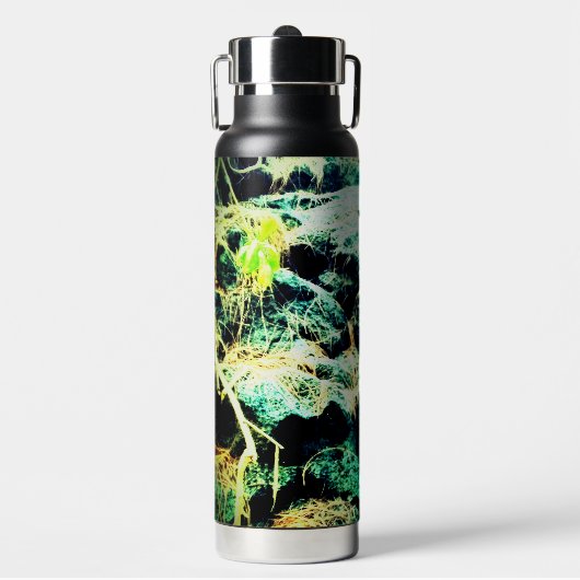 石は ウォーターボトル (正面)