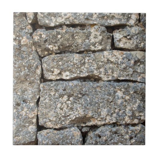 石れんが壁 タイル (正面)