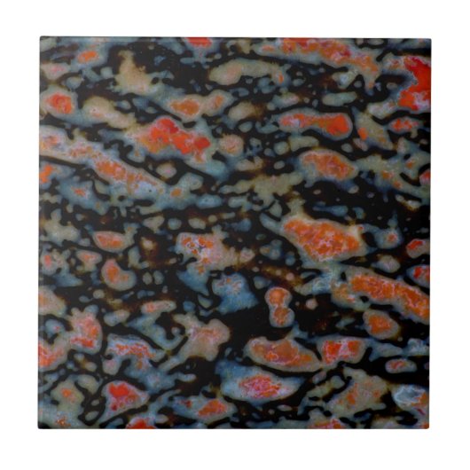 石カラフル化恐竜骨 タイル (正面)