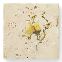 石コースタートラバーチン