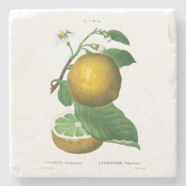 石コースター：ぶどう：レッドテ ストーンコースター