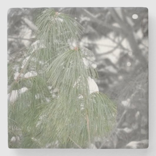 石コースター ストーンコースター (正面)