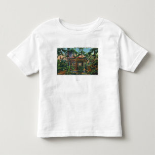 石切り場の農場、東の丘のマーク・トウェインの勉強 トドラーTシャツ